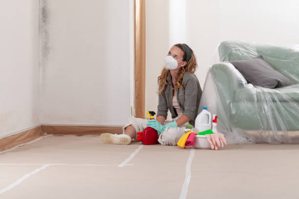 Reliable Mold Inspection contractor in Little Ferry, NJ by WQB Mold Removal